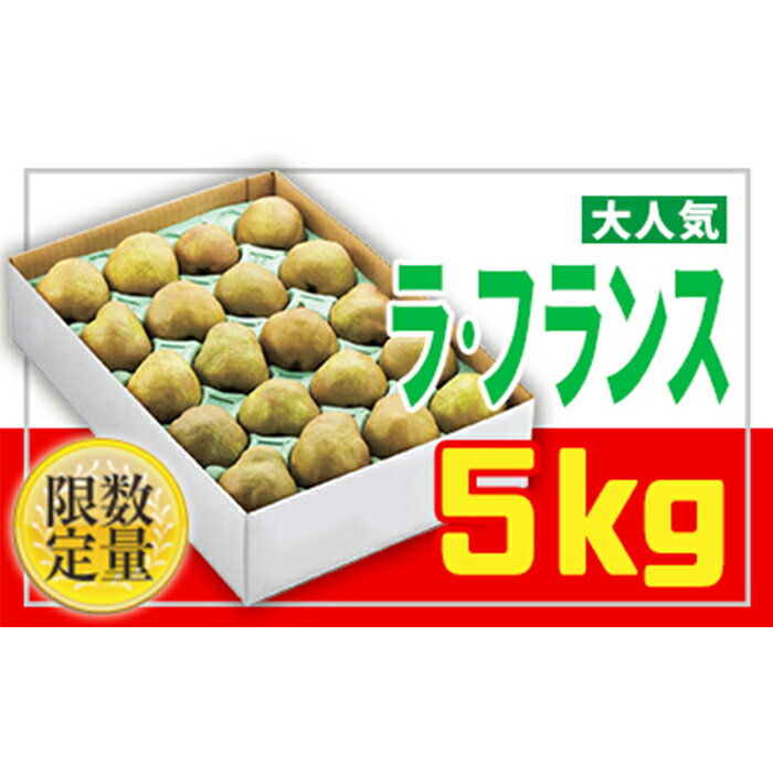 【ふるさと納税】☆フルーツ王国山形☆【家庭用】ラ・フランス 5kg FY25-888 サムネイル2