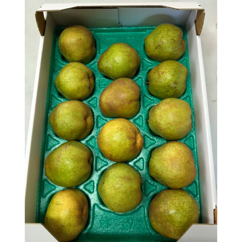 【ふるさと納税】【家庭用】ラフランス 秀品 約5kg fz22-935 ラ・フランス 洋梨 フルーツ 果物 お取り寄せ 送料無料 洋なし 訳あり サムネイル2