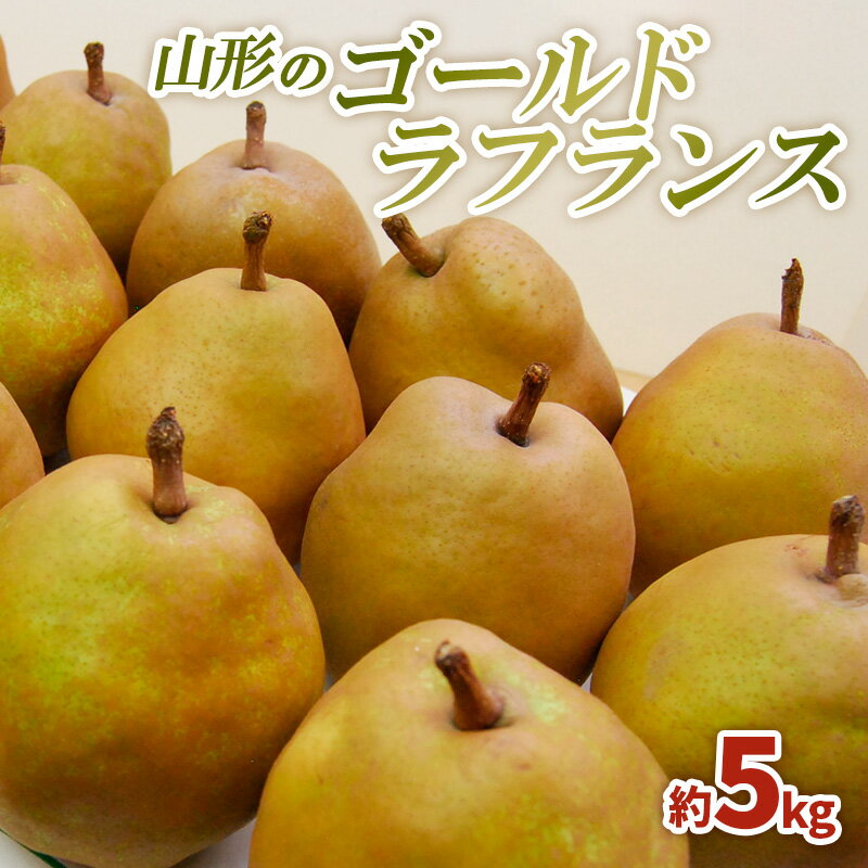 山形のゴールドラフランス 約5kg(3L〜6L)10〜16玉 fz22-074ラ・フランス 洋梨 フルーツ 果物 お取り寄せ 送料無料 洋なし