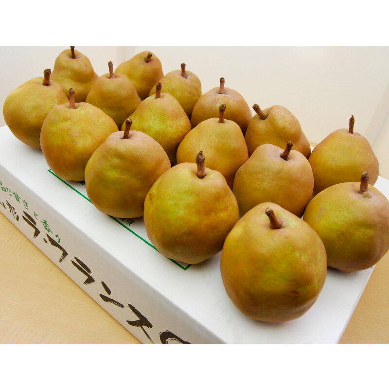 【ふるさと納税】山形のゴールドラフランス 約5kg(3L〜6L)10〜16玉 fz22-074ラ・フランス 洋梨 フルーツ 果物 お取り寄せ 送料無料 洋なし サムネイル2