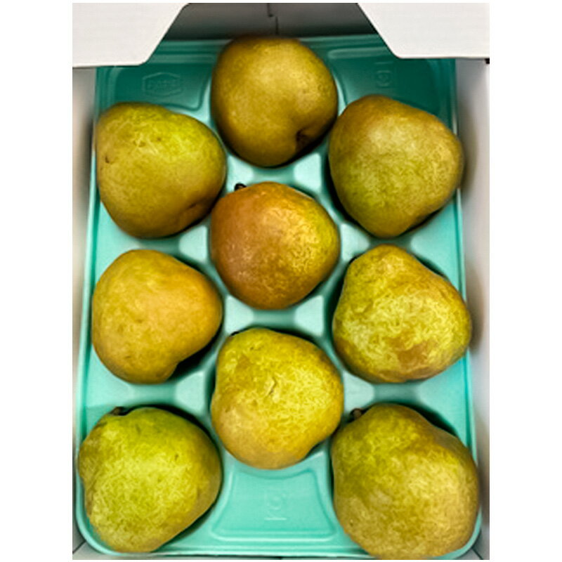 【ふるさと納税】【贈答用】ラフランス 特秀品 約3kg fz22-934 ラ・フランス 洋梨 フルーツ 果物 お取り寄せ 送料無料 洋なし サムネイル2