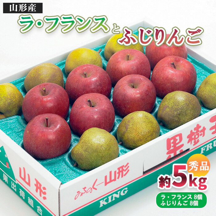 山形市産 ふじりんご・ラ・フランス 詰合せ 5kg ラフランス 洋梨 フルーツ 果物 お取り寄せ 送料無料 リンゴ 林檎 洋なし FY25-846