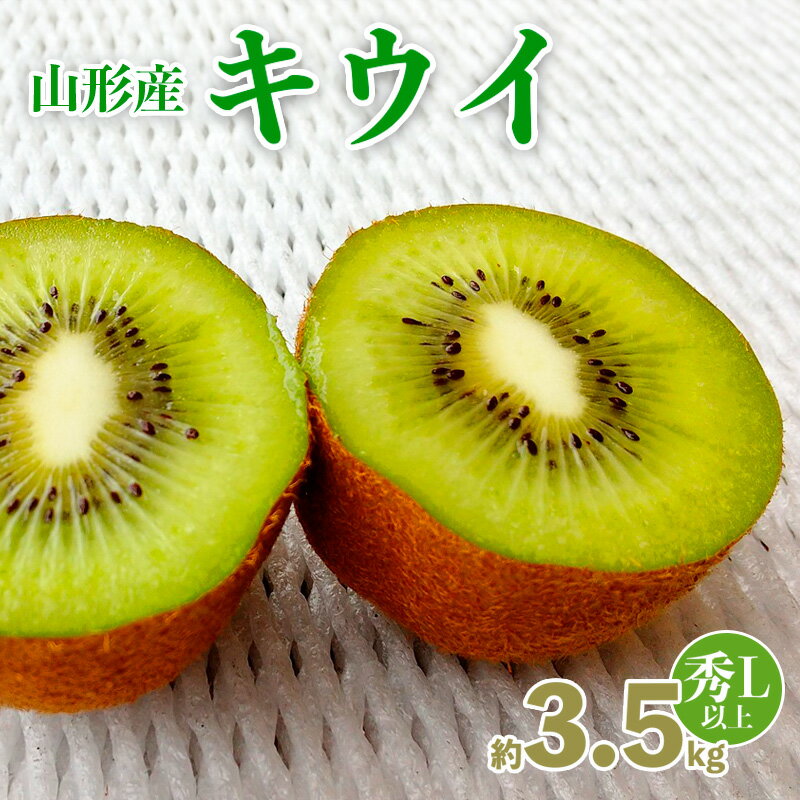山形産 キウイ 秀品 L以上 約3.5kg(20〜30玉) fz20-067
