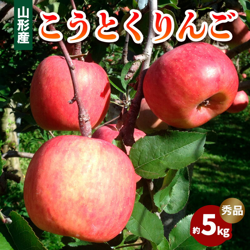山形市産 こうとくりんご 5kg FZ20-521