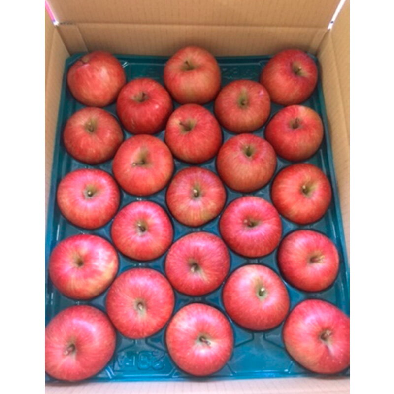 【ふるさと納税】山形市産 こうとくりんご 5kg FZ20-521 サムネイル2