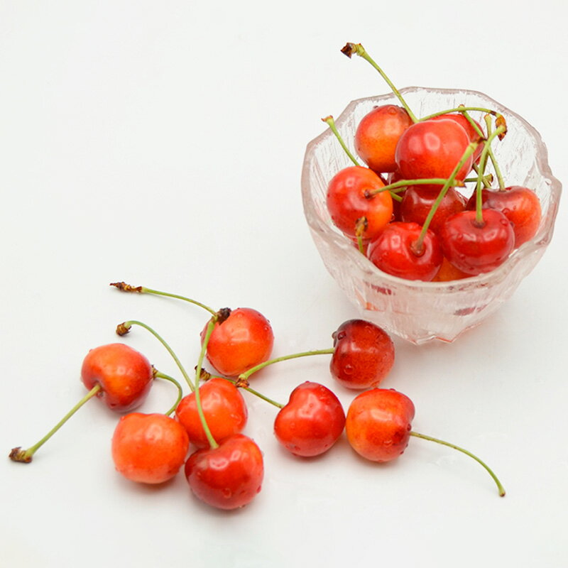 【ふるさと納税】山形のさくらんぼ 紅秀峰 鏡詰め 500g Lサイズ以上 【令和8年産先行予約】FS25-518 くだもの 果物 フルーツ 山形 山形県 山形市 お取り寄せ 2026年産 サムネイル2