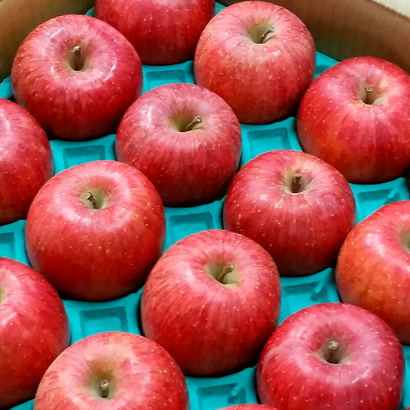 【ふるさと納税】【特選】山形のサンふじりんご 約10kg 特秀品 (20〜50玉) fz19-141 リンゴ 林檎 フルーツ 果物 お取り寄せ 送料無料 サムネイル2