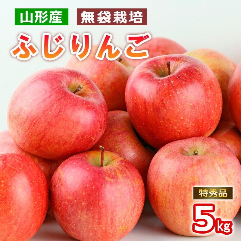 山形産 無袋栽培 ふじりんご 特秀 5kg (13〜20玉) FY25-816