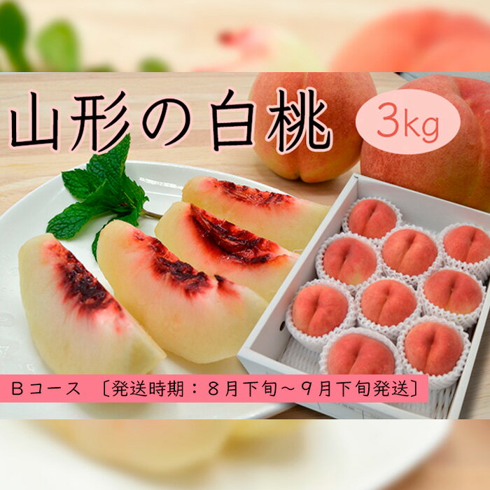 【ふるさと納税】山形の白桃3kg(5〜13玉)Bコース[柔らかくなる品種・果肉やや硬め] 【令和8年産先行予約】FS25-632 くだもの 果物 フルーツ 山形 山形県 山形市 お取り寄せ 2026年産 - 画像2