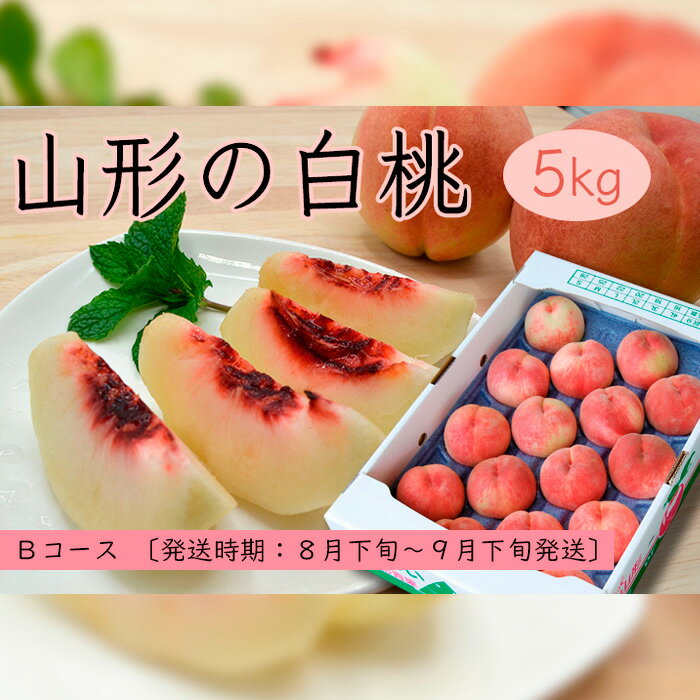 【ふるさと納税】山形の白桃 5kg(10~16玉)Bコース(柔らかくなる品種・果肉やや硬め)【令和8年産先行予約】FS24-566くだもの 果物 フルーツ 山形 山形県 山形市 お取り寄せ 先行予約 2026年産 - 画像2