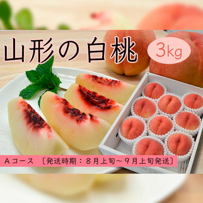【ふるさと納税】山形の白桃3kg(5〜13玉)Aコース[柔らかくなる品種] 【令和8年産先行予約】FS25-631 くだもの 果物 フルーツ 山形 山形県 山形市 お取り寄せ 2026年産 - 画像2