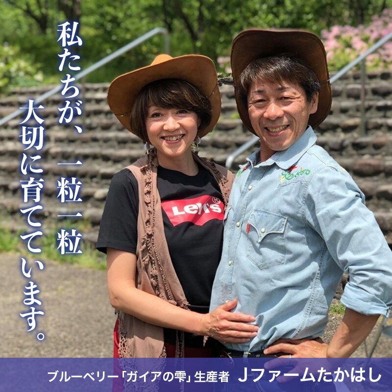 【ふるさと納税】山形産 無農薬 完熟ブルーベリー【ガイアの雫】500g(100g×5パック)【令和8年産先行予約】FS24-500くだもの 果物 フルーツ 山形 山形県 山形市 お取り寄せ 先行予約 2026年産 サムネイル2