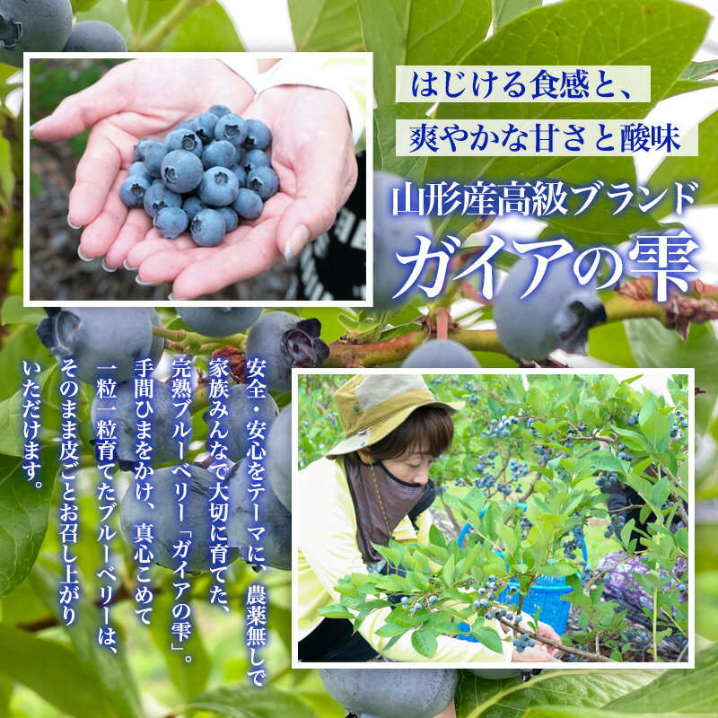 【ふるさと納税】山形産 無農薬 完熟ブルーベリー【ガイアの雫】500g(100g×5パック)【令和8年産先行予約】FS24-500くだもの 果物 フルーツ 山形 山形県 山形市 お取り寄せ 先行予約 2026年産 サムネイル3