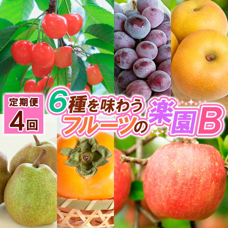 【定期便4回】6種を味わうフルーツの楽園B【令和8年産先行予約】FS25-622 くだもの 果物 フルーツ 山形 山形県 山形市 お取り寄せ 2026年産