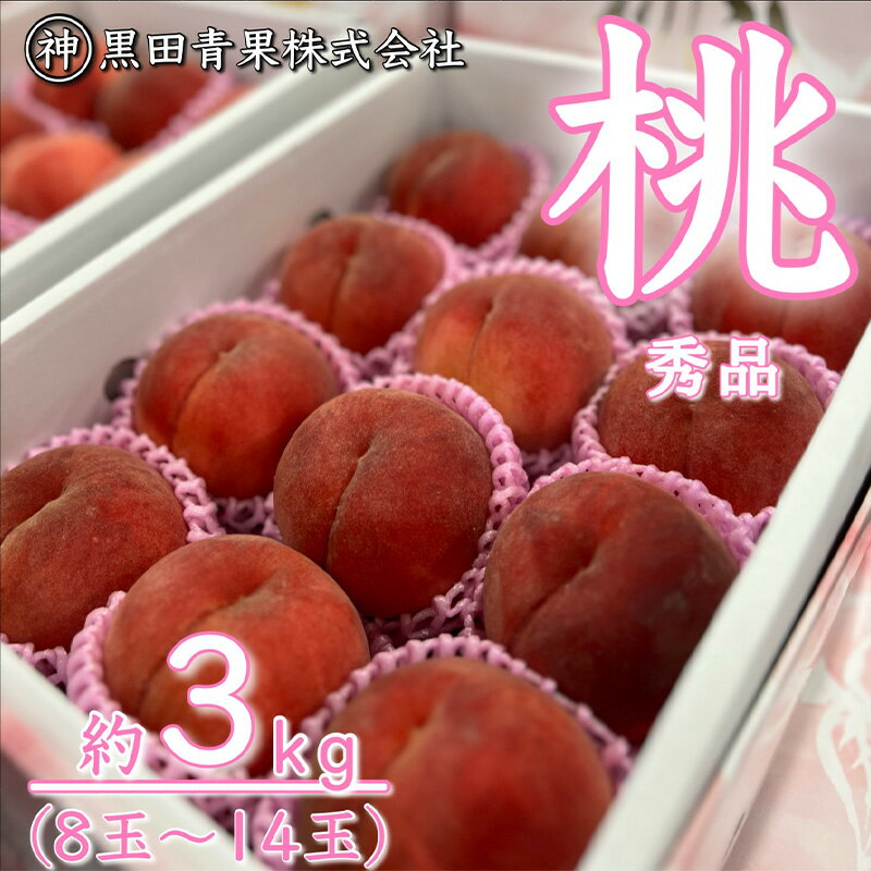山形産 白桃 秀 3kg(8玉〜14玉)【令和8年産先行予約】FU23-315くだもの 果物 フルーツ 山形 山形県 山形市 お取り寄せ 先行予約 2026年産