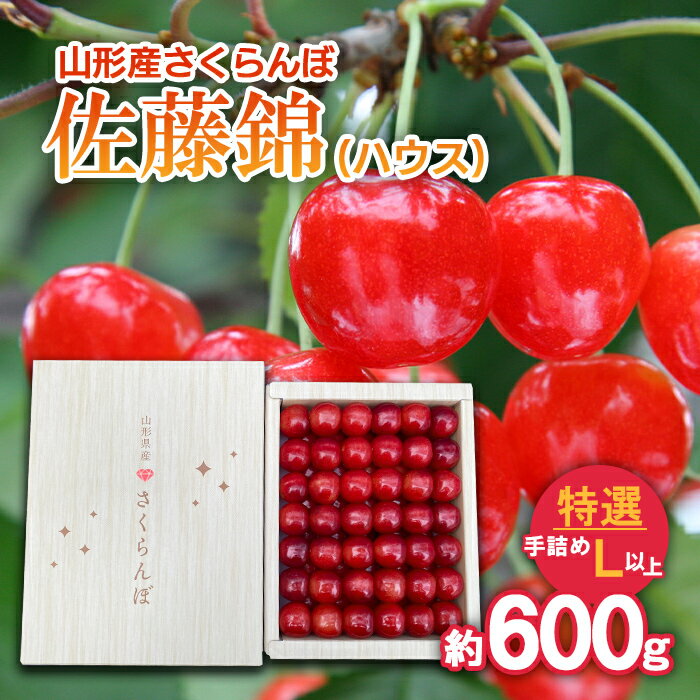 さくらんぼ 佐藤錦 (ハウス) 特選 手詰め L以上 約600g 【令和8年産先行予約】FS25-709 くだもの 果物 フルーツ 山形 山形県 山形市 お取り寄せ 2026年産