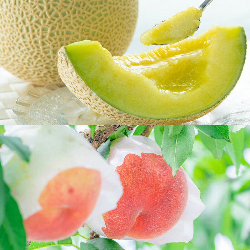 【ふるさと納税】【定期便8回】ノノハナフルーツ やまがた旬暦定期便 【令和8年産先行予約】FS25-590 くだもの 果物 フルーツ 山形 山形県 山形市 お取り寄せ 2026年産 サムネイル3