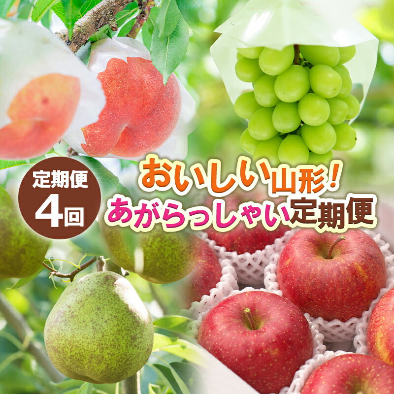【定期便4回】おいしい山形！ あがらっしゃい定期便 【令和8年産先行予約】FS24-721 くだもの 果物 フルーツ 山形 山形県 山形市 お取り寄せ 2026年産