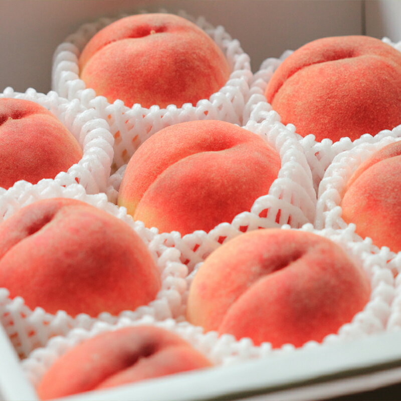 【ふるさと納税】【定期便4回】おいしい山形！ あがらっしゃい定期便 【令和8年産先行予約】FS24-721 くだもの 果物 フルーツ 山形 山形県 山形市 お取り寄せ 2026年産 サムネイル2