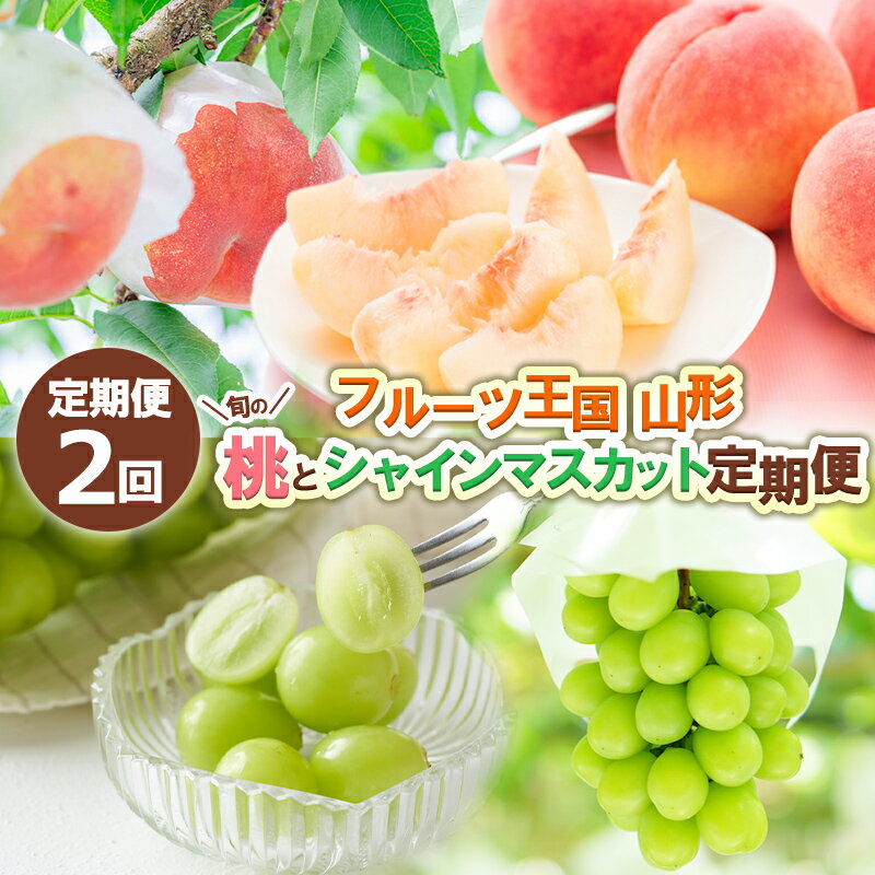 【定期便2回】フルーツ王国山形 旬の桃とシャインマスカット定期便 【令和8年産先行予約】FS24-723 くだもの 果物 フルーツ 山形 山形県 山形市 お取り寄せ 2026年産