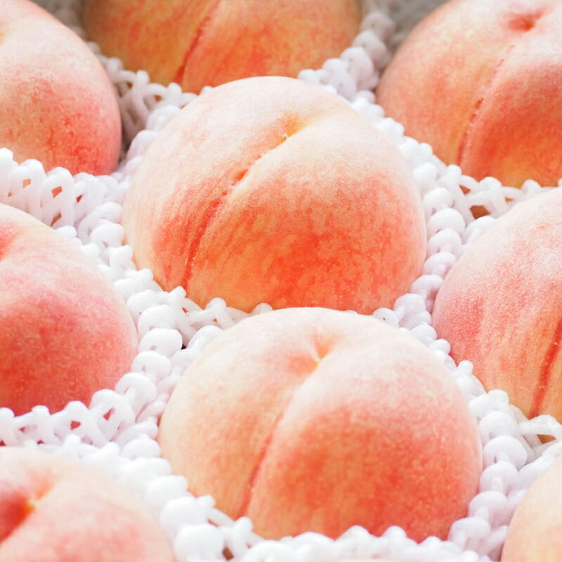 【ふるさと納税】【定期便2回】フルーツ王国山形 旬の桃とシャインマスカット定期便 【令和8年産先行予約】FS24-723 くだもの 果物 フルーツ 山形 山形県 山形市 お取り寄せ 2026年産 サムネイル2