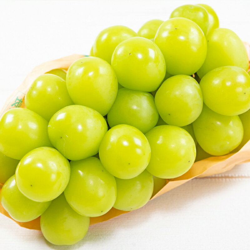 【ふるさと納税】【定期便2回】フルーツ王国山形 旬の桃とシャインマスカット定期便 【令和8年産先行予約】FS24-723 くだもの 果物 フルーツ 山形 山形県 山形市 お取り寄せ 2026年産 サムネイル3