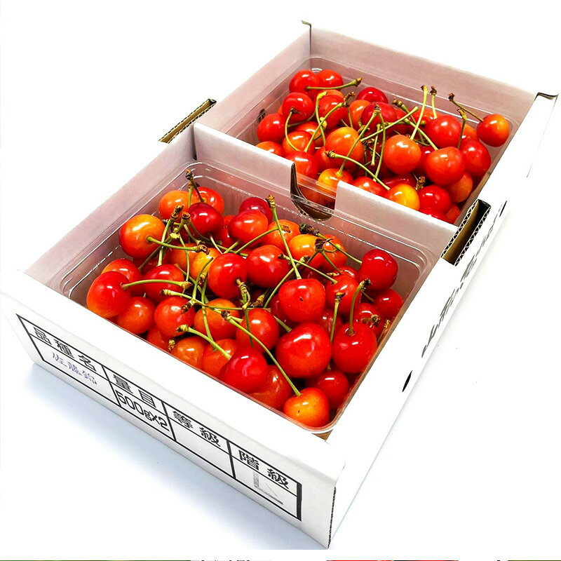 【ふるさと納税】【定期便2回】赤い宝石！さくらんぼの楽園便 【令和8年産先行予約】FS25-625 くだもの 果物 フルーツ 山形 山形県 山形市 お取り寄せ 2026年産 サムネイル2