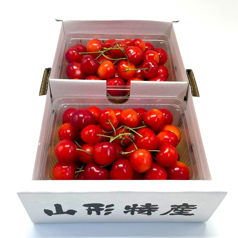 【ふるさと納税】【定期便2回】赤い宝石！さくらんぼの楽園便 【令和8年産先行予約】FS25-625 くだもの 果物 フルーツ 山形 山形県 山形市 お取り寄せ 2026年産 サムネイル3