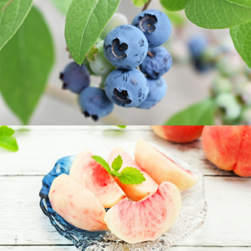 【ふるさと納税】【定期便5回】さくらんぼ(紅秀峰)から始まるフルーツの幸せ便 【令和8年産先行予約】FS25-626 くだもの 果物 フルーツ 山形 山形県 山形市 お取り寄せ 2026年産 サムネイル3