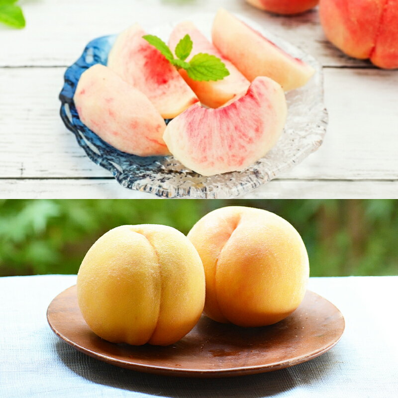 【ふるさと納税】【定期便4回】ピチピチPeache's 【令和8年産先行予約】FS24-742 くだもの 果物 フルーツ 山形 山形県 山形市 お取り寄せ 2026年産 サムネイル3