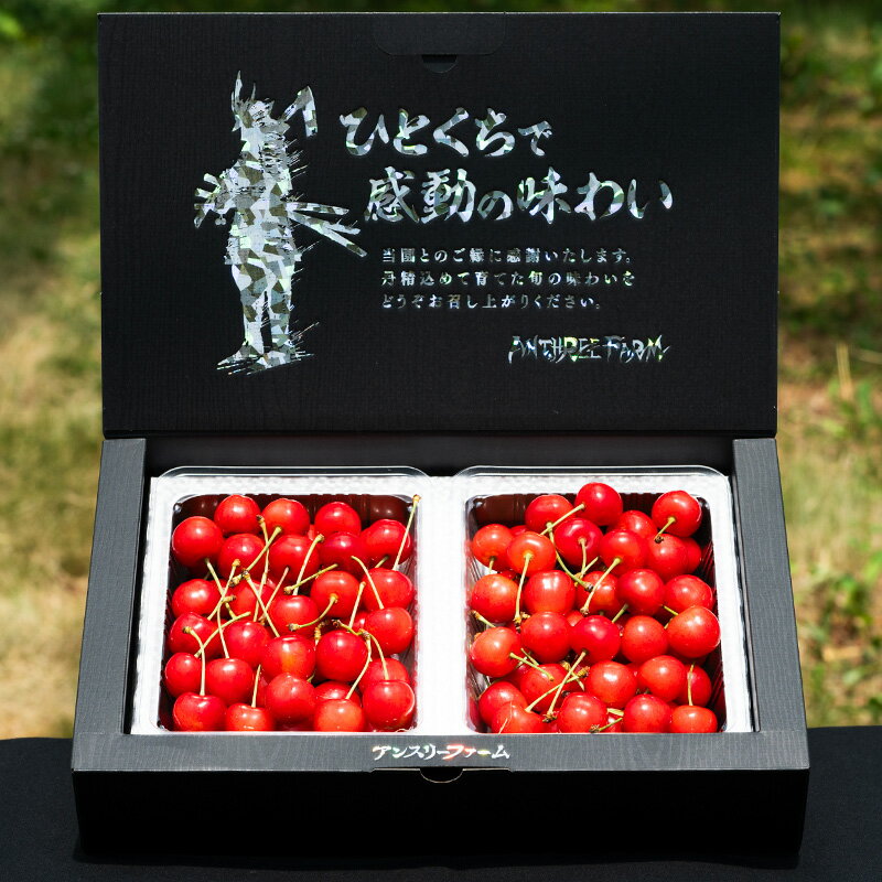 【ふるさと納税】2026年産 さくらんぼ 「紅秀峰」 600g 特秀品 Lサイズ以上 山形産 【令和8年産先行予約】FS24-745 サムネイル2