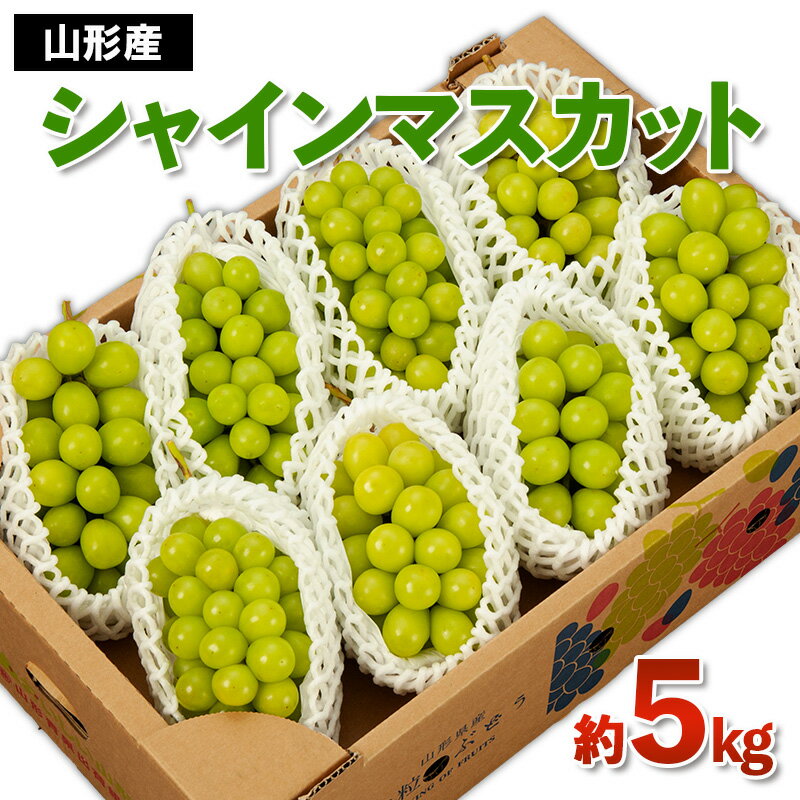 山形産 シャインマスカット 秀 約5kg 【令和8年産先行予約】FS24-748 くだもの 果物 フルーツ 山形 山形県 山形市 お取り寄せ 2026年産