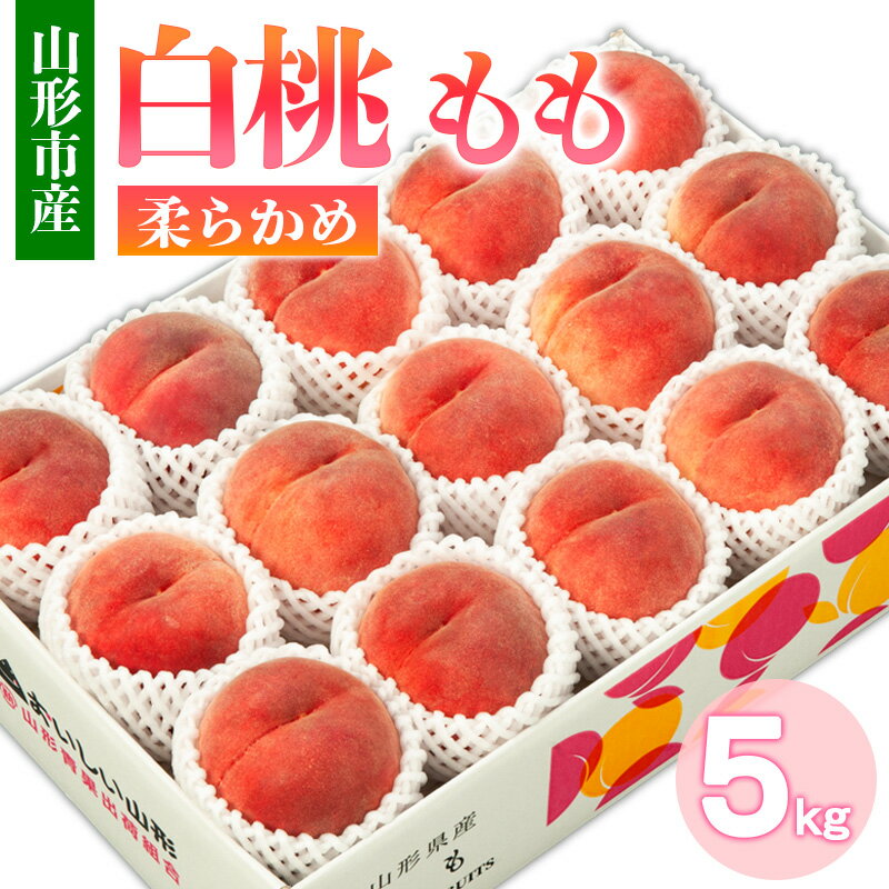 山形市産 白桃 もも 5kg 柔らかめ(10〜16玉) 【令和8年産先行予約】FS24-752 くだもの 果物 フルーツ 山形 山形県 山形市 お取り寄せ 2026年産