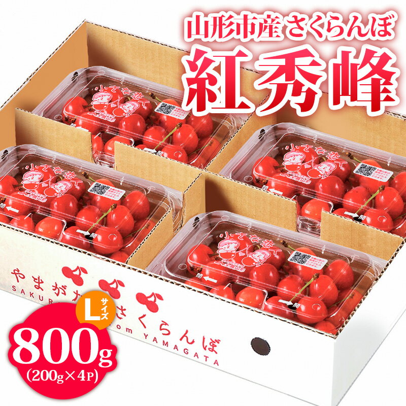 山形市産 さくらんぼ【紅秀峰】 Lサイズ 800g(200g×4P) 【令和8年産先行予約】FS24-755 くだもの 果物 フルーツ 山形 山形県 山形市 お取り寄せ 2026年産