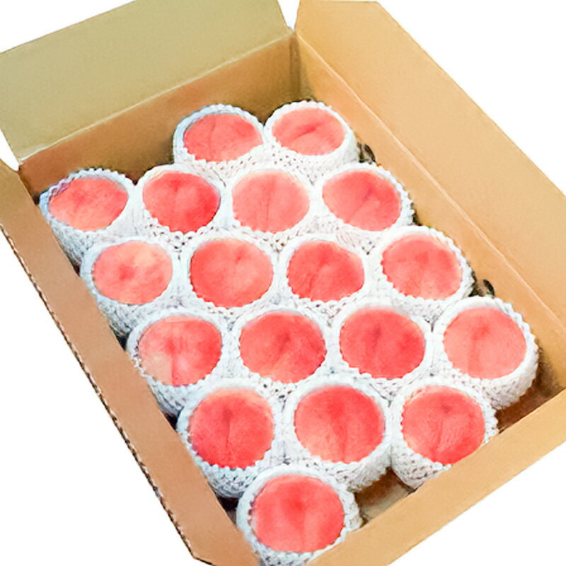 【ふるさと納税】山形市産 白桃 特秀品 約5kg (12〜20玉) 柔らかくなる桃【令和8年産先行予約】FS24-757くだもの 果物 フルーツ 山形 山形県 山形市 お取り寄せ 先行予約 2026年産 サムネイル2