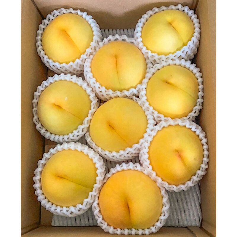 【ふるさと納税】山形市産 黄桃 秀品 2kg(4〜8玉) 柔らかくなる桃【令和8年産先行予約】FS24-758くだもの 果物 フルーツ 山形 山形県 山形市 お取り寄せ 先行予約 2026年産 サムネイル2