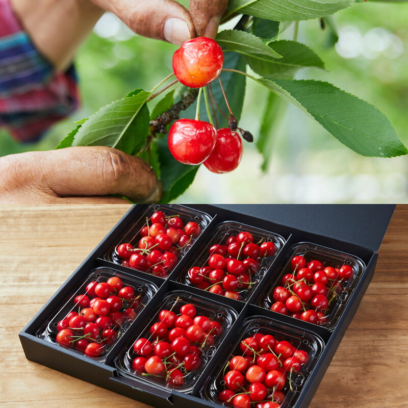 【ふるさと納税】【定期便5回】★ファミリー向け★みんなでわいわい！山形のフルーツ定期便 【令和8年産先行予約】FS25-657 くだもの 果物 フルーツ 山形 山形県 山形市 お取り寄せ 2026年産 サムネイル2