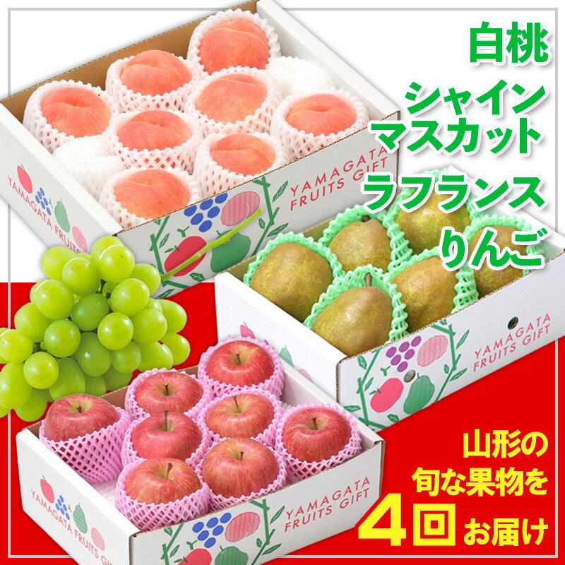 【定期便4回】☆フルーツ王国山形☆白桃・シャインマスカット・ラフランス・りんご 【令和8年産先行予約】FS24-773 くだもの 果物 フルーツ 山形 山形県 山形市 お取り寄せ 2026年産