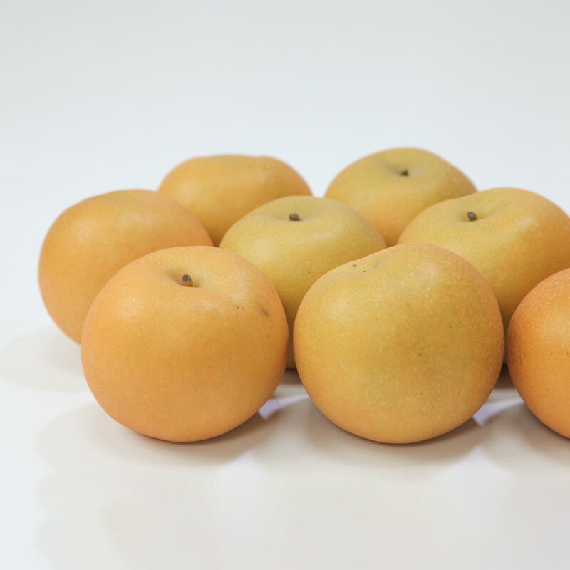 【ふるさと納税】☆フルーツ王国山形☆和梨 (王秋) 秀品 3kg【令和8年産先行予約】FS24-777くだもの 果物 フルーツ 山形 山形県 山形市 お取り寄せ 先行予約 2026年産 サムネイル2