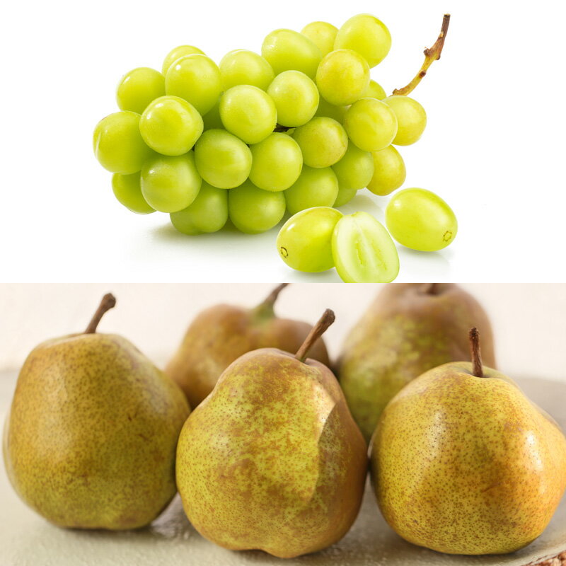 【ふるさと納税】【定期便5回】やまがた人気の果物ベスト5！大粒、大玉、希少品！でチョイス！【令和8年産先行予約】FS24-782くだもの 果物 フルーツ 山形 山形県 山形市 お取り寄せ 先行予約 2026年産 サムネイル3