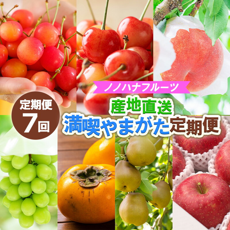 【定期便7回】ノノハナフルーツ　【産地直送】　満喫やまがた定期便 【令和8年産先行予約】FS25-591 くだもの 果物 フルーツ 山形 山形県 山形市 お取り寄せ 2026年産