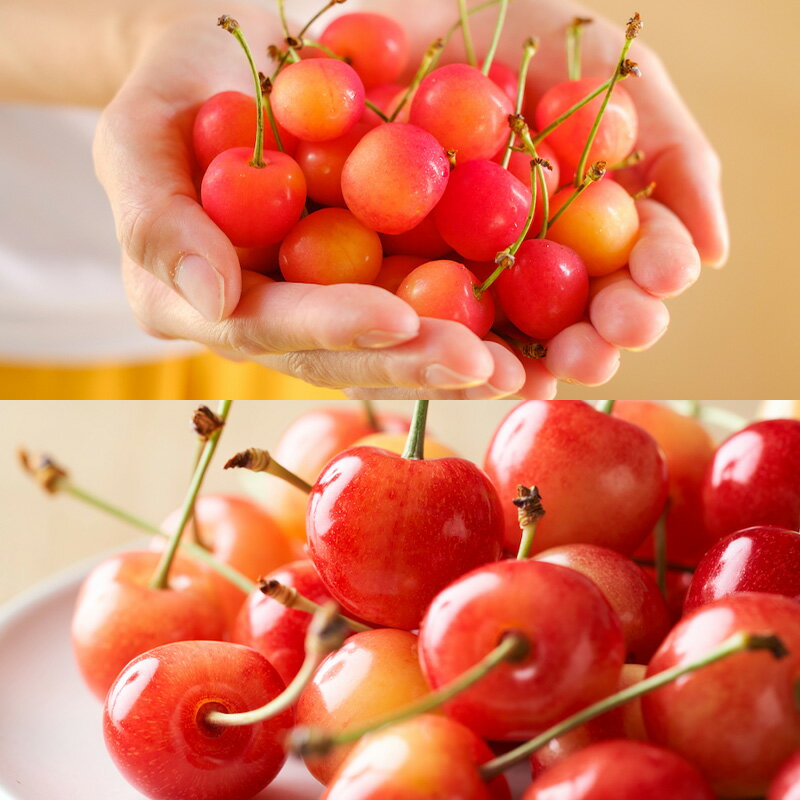 【ふるさと納税】【定期便7回】ノノハナフルーツ　【産地直送】　満喫やまがた定期便 【令和8年産先行予約】FS25-591 くだもの 果物 フルーツ 山形 山形県 山形市 お取り寄せ 2026年産 サムネイル2