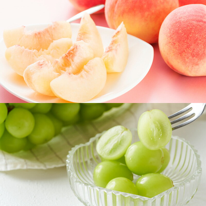 【ふるさと納税】【定期便7回】ノノハナフルーツ　【産地直送】　満喫やまがた定期便 【令和8年産先行予約】FS25-591 くだもの 果物 フルーツ 山形 山形県 山形市 お取り寄せ 2026年産 サムネイル3