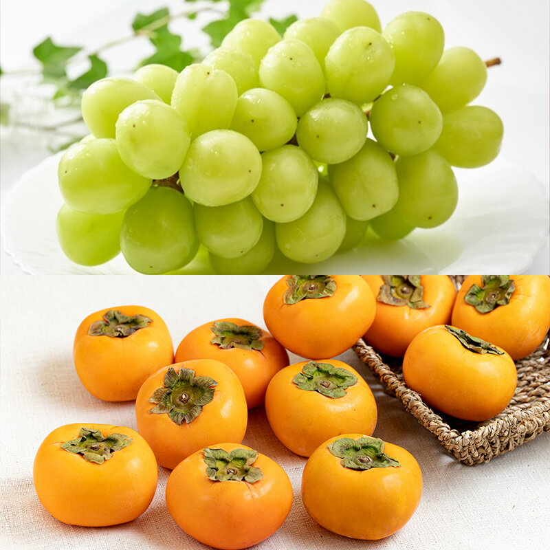 【ふるさと納税】【定期便5回】秋冬フルーツの定番ベスト【令和8年産先行予約】FS24-794くだもの 果物 フルーツ 山形 山形県 山形市 お取り寄せ 先行予約 2026年産 サムネイル3