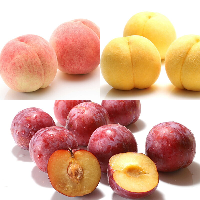 【ふるさと納税】【定期便8回】人気フルーツ満喫便 【令和8年産先行予約】FS25-615 くだもの 果物 フルーツ 山形 山形県 山形市 お取り寄せ 2026年産 サムネイル3