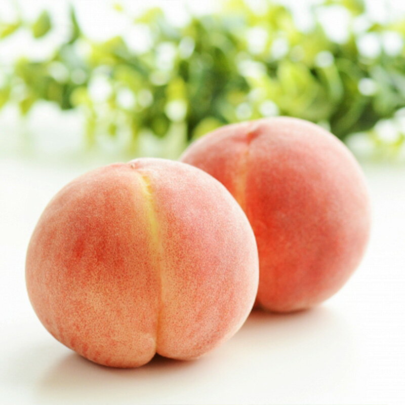 【ふるさと納税】【定期便3回】山形旬果 3種 らんまん【令和8年産先行予約】FS24-811くだもの 果物 フルーツ 山形 山形県 山形市 お取り寄せ 先行予約 2026年産 サムネイル3