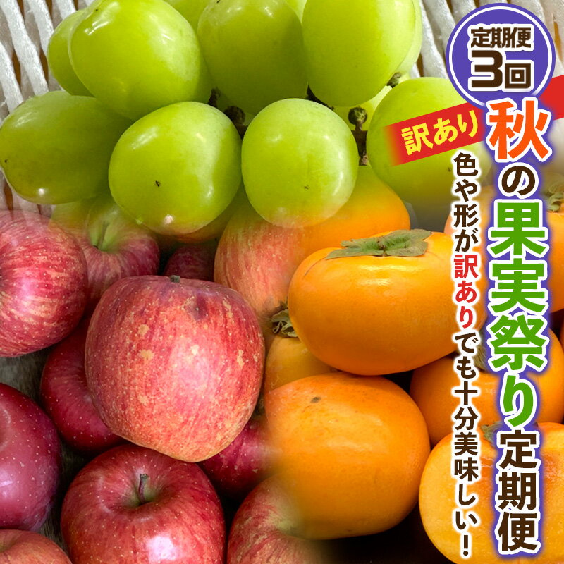 【定期便3回】★訳あり★秋の果実祭り定期便 色や形が訳ありでも十分美味しい！シャインマスカット・柿・りんご【令和8年産先行予約】FS24-814くだもの 果物 フルーツ 山形 山形県 山形市 お取り寄せ 先行予約 2026年産