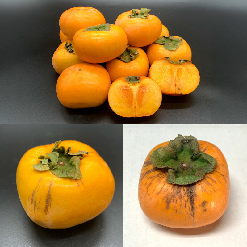 【ふるさと納税】【定期便3回】★訳あり★秋の果実祭り定期便 色や形が訳ありでも十分美味しい！シャインマスカット・柿・りんご【令和8年産先行予約】FS24-814くだもの 果物 フルーツ 山形 山形県 山形市 お取り寄せ 先行予約 2026年産 サムネイル3