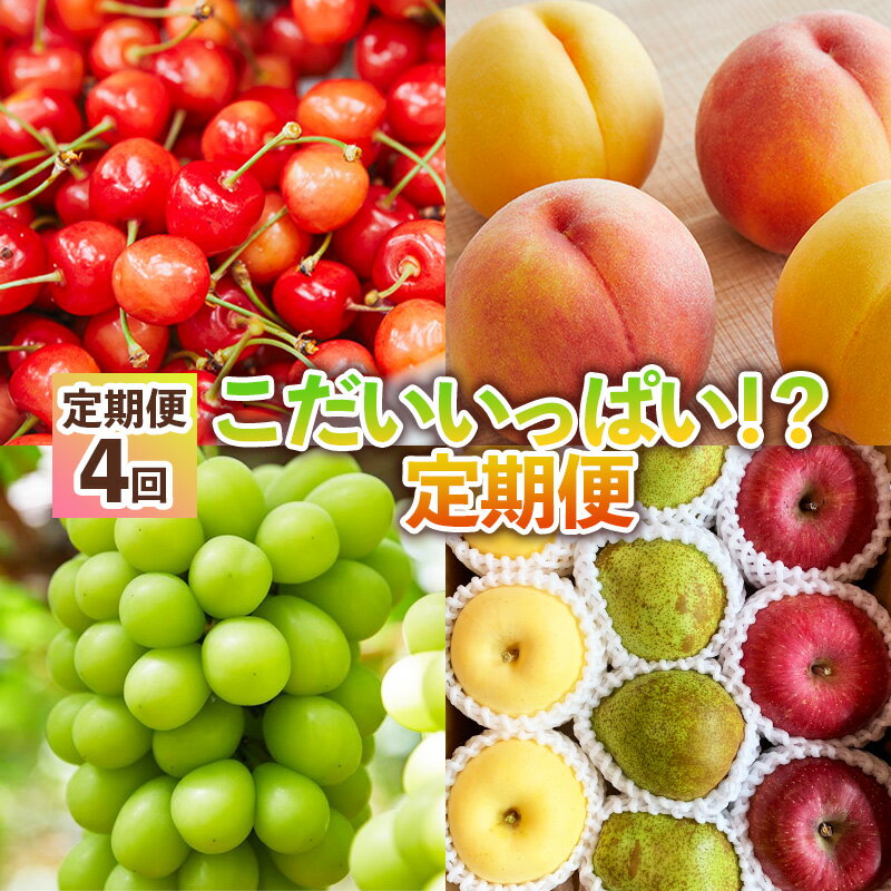 【定期便4回】こだいいっぱい！？ 定期便 【令和8年産先行予約】FS25-652 くだもの 果物 フルーツ 山形 山形県 山形市 お取り寄せ 2026年産