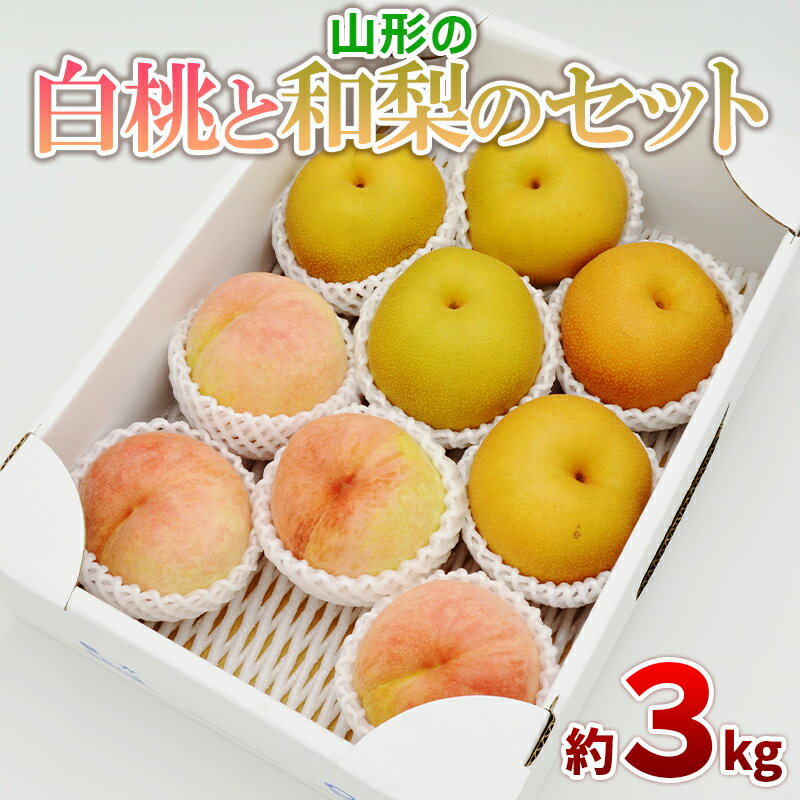 白桃と和梨の詰合せ 秀品 約3kg(6〜12玉)【令和8年産先行予約】FS24-817くだもの 果物 フルーツ 山形 山形県 山形市 お取り寄せ 先行予約 2026年産